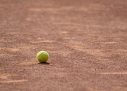 开云棋牌入口-世界网球队力克日本网球队，穆雷打破历史纪录