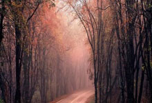 开云棋牌游戏-意甲巅峰对决：39岁C罗绝杀剑封喉，23岁哈兰德轰双响！这一夜传奇与新王的对撞点燃亚平宁