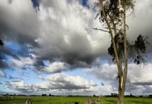 开云棋牌游戏-意甲巅峰对决：39岁C罗绝杀剑封喉，23岁哈兰德轰双响！这一夜传奇与新王的对撞点燃亚平宁