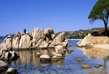 开云官网-哈兰德梅开二度！曼城3-1晋级欧冠四强，瓜帅战术完胜拜仁